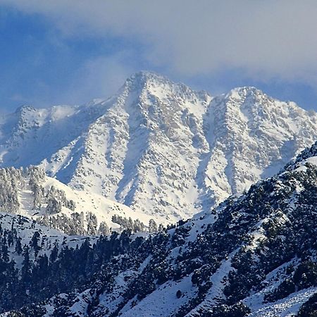 Hotel Bliss Valley Dharamshala - Beautiful View Of Mountains From Rooms מראה חיצוני תמונה