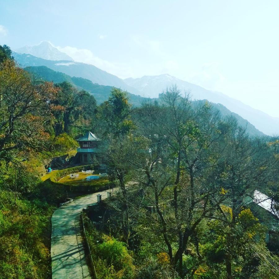 Hotel Bliss Valley Dharamshala - Beautiful View Of Mountains From Rooms מראה חיצוני תמונה
