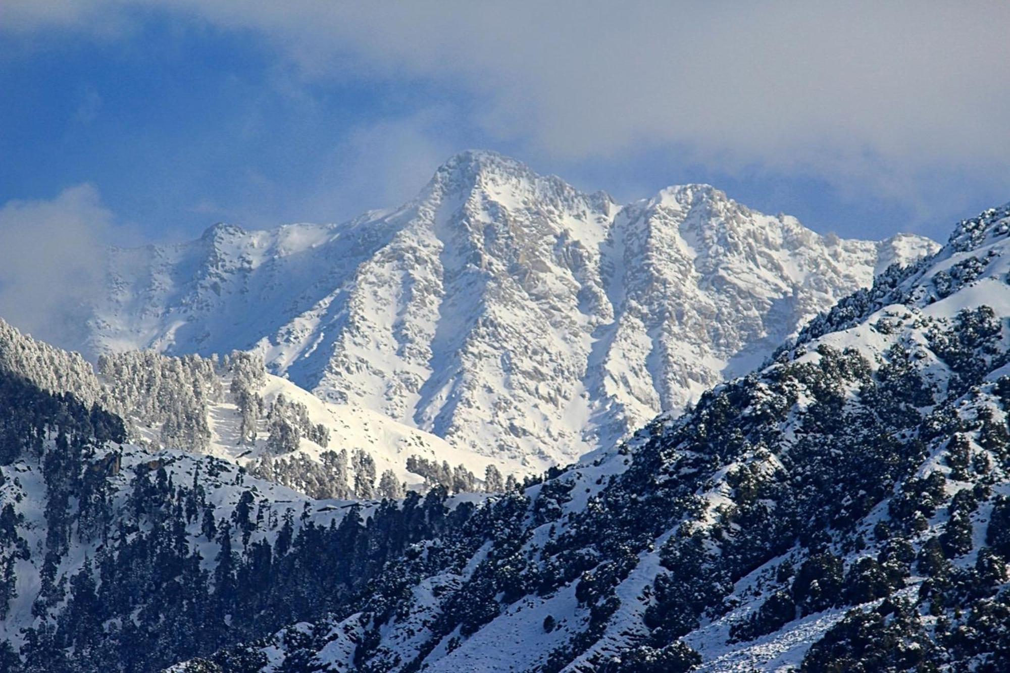 Hotel Bliss Valley Dharamshala - Beautiful View Of Mountains From Rooms מראה חיצוני תמונה
