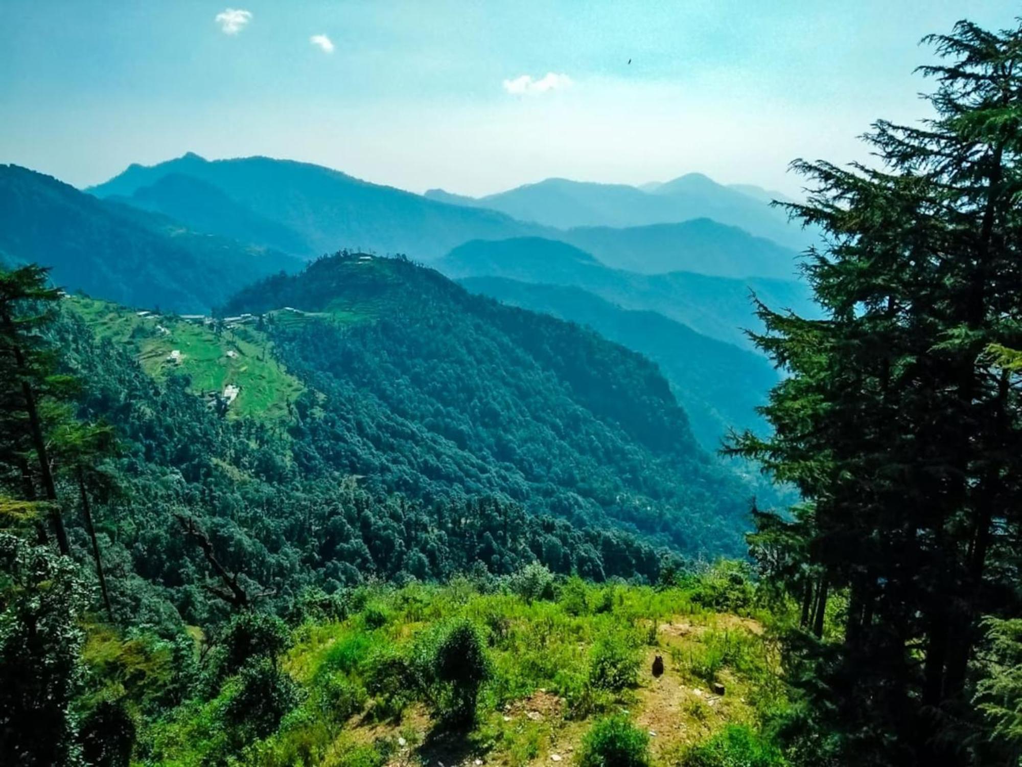 Hotel Bliss Valley Dharamshala - Beautiful View Of Mountains From Rooms מראה חיצוני תמונה